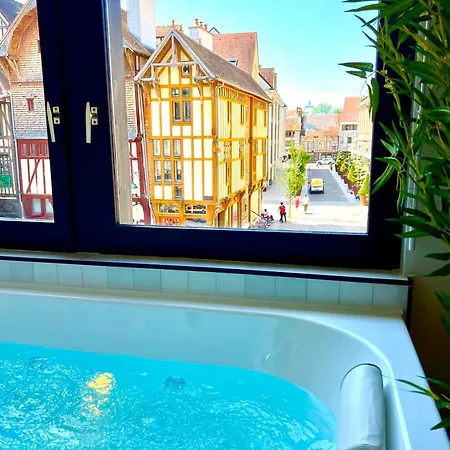 Spa Et Sauna Luxueux Hyper Centre Troyes Esterno foto